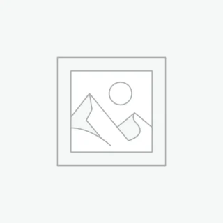 Phasellus molestie id mi sit amet